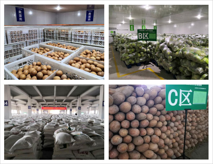 ������Ե_��ҳ�������