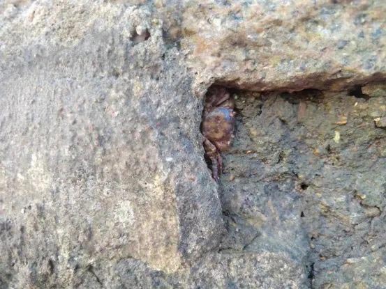 ������Ե_��ҳ�������