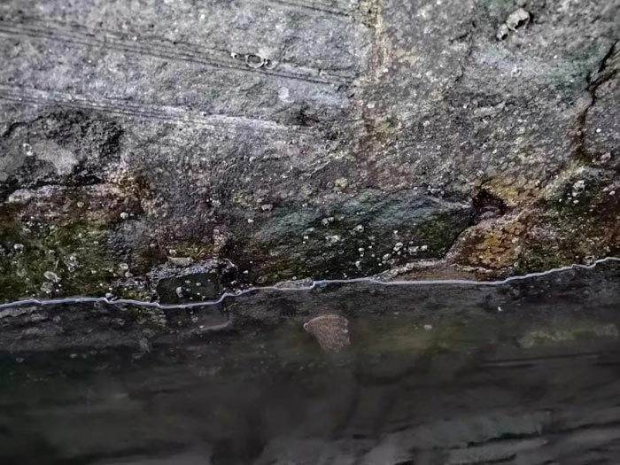 ������Ե_��ҳ�������