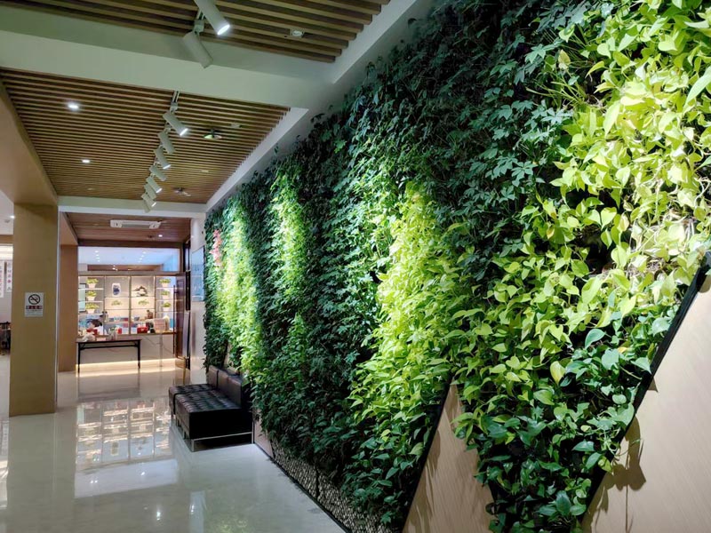 ������Ե_��ҳ�������